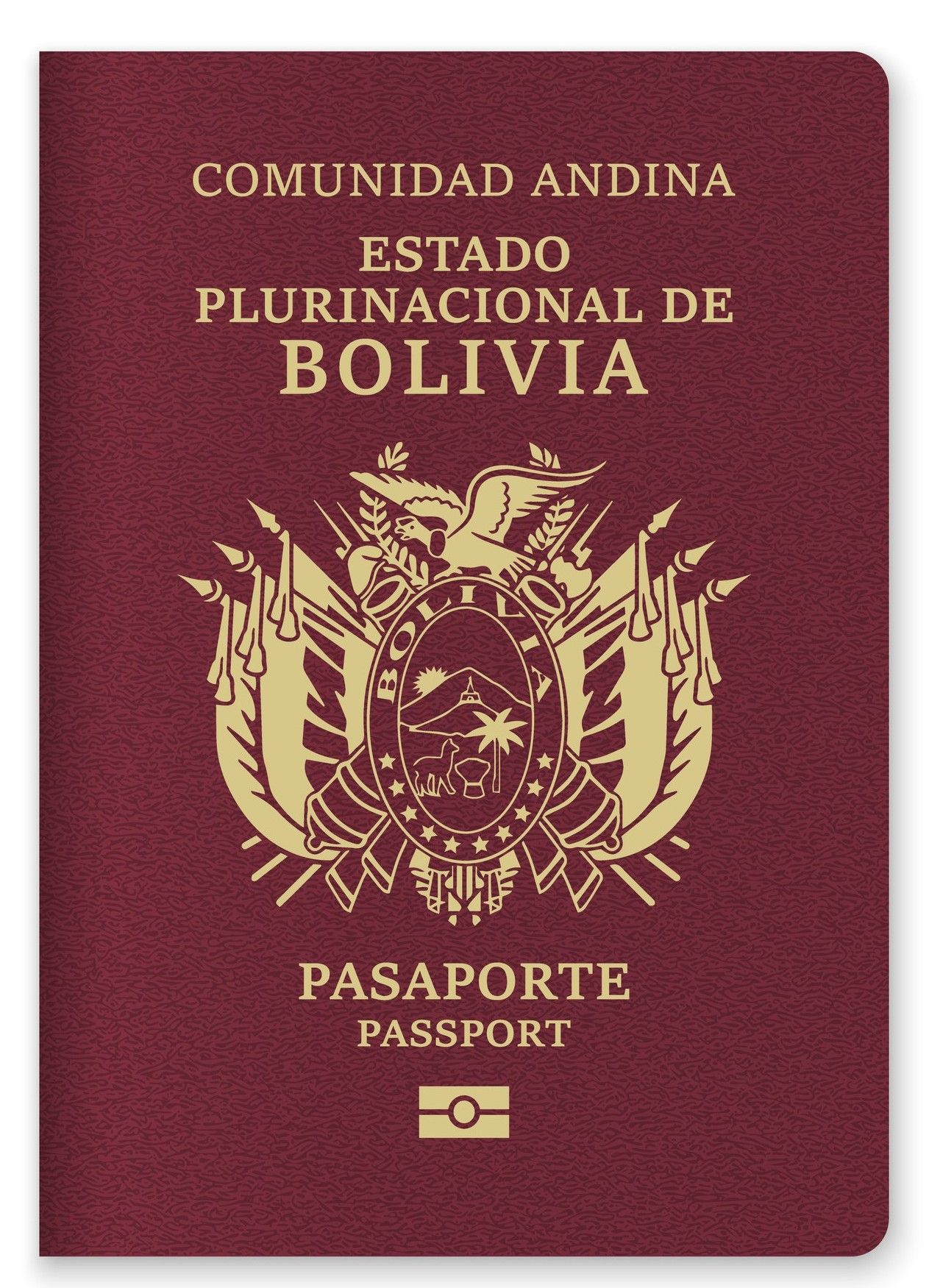 Bolivia Passport