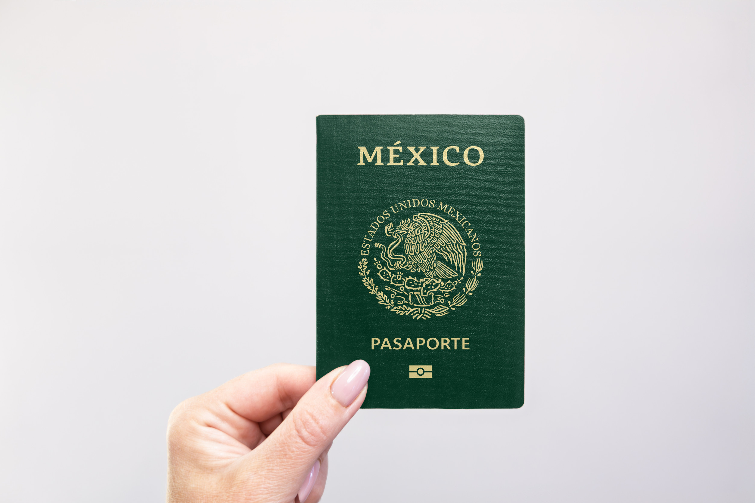 Mexico Held Passport In Hand Against A Plain White Background